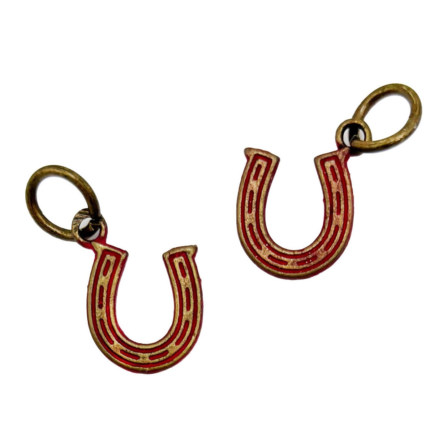 Horseshoe Luck Charm (available with bracelet or necklace)