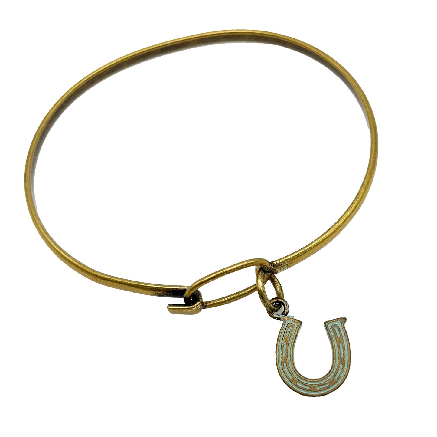 Horseshoe Luck Charm (available with bracelet or necklace)
