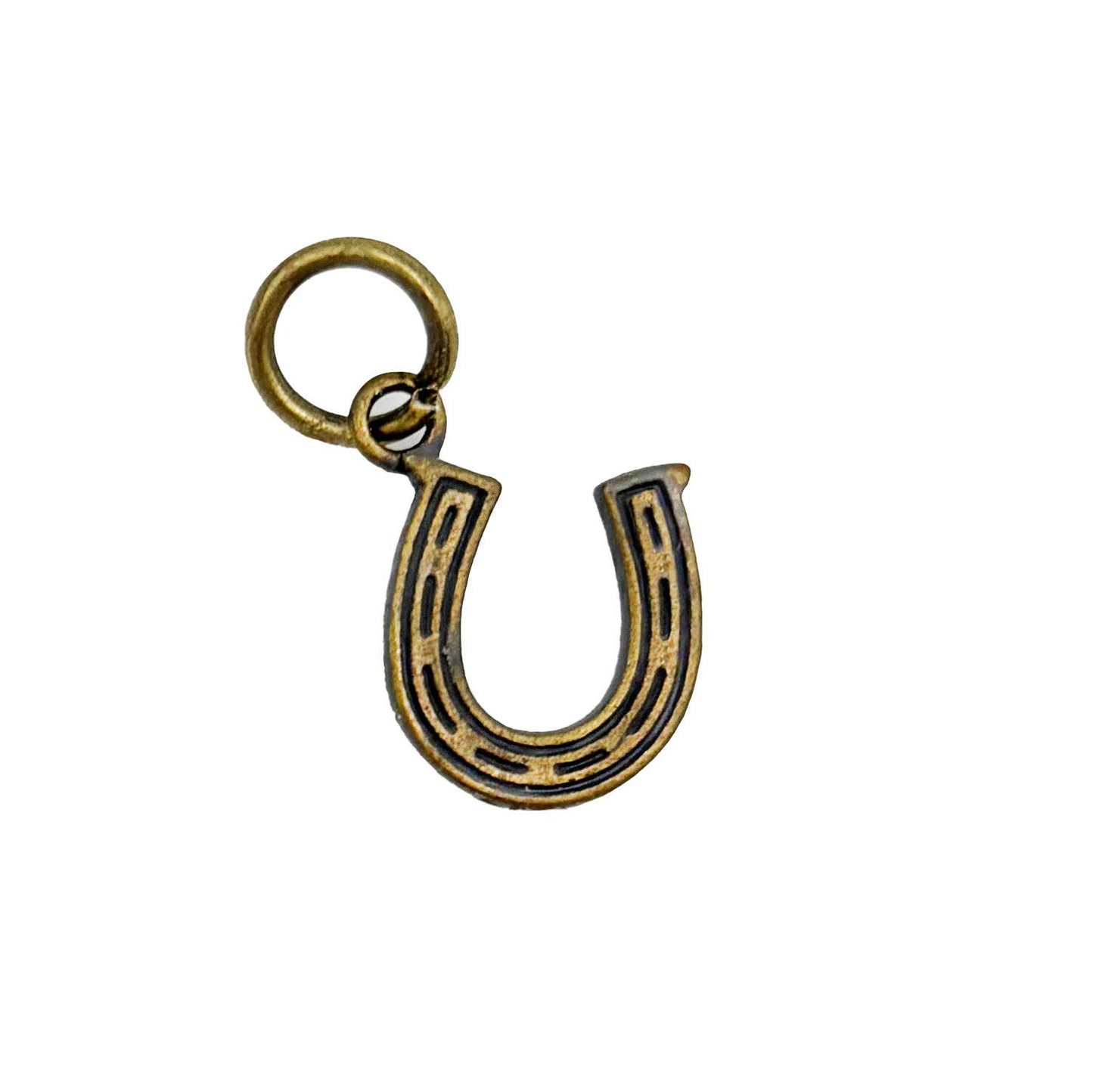 Horseshoe Luck Charm (available with bracelet or necklace)