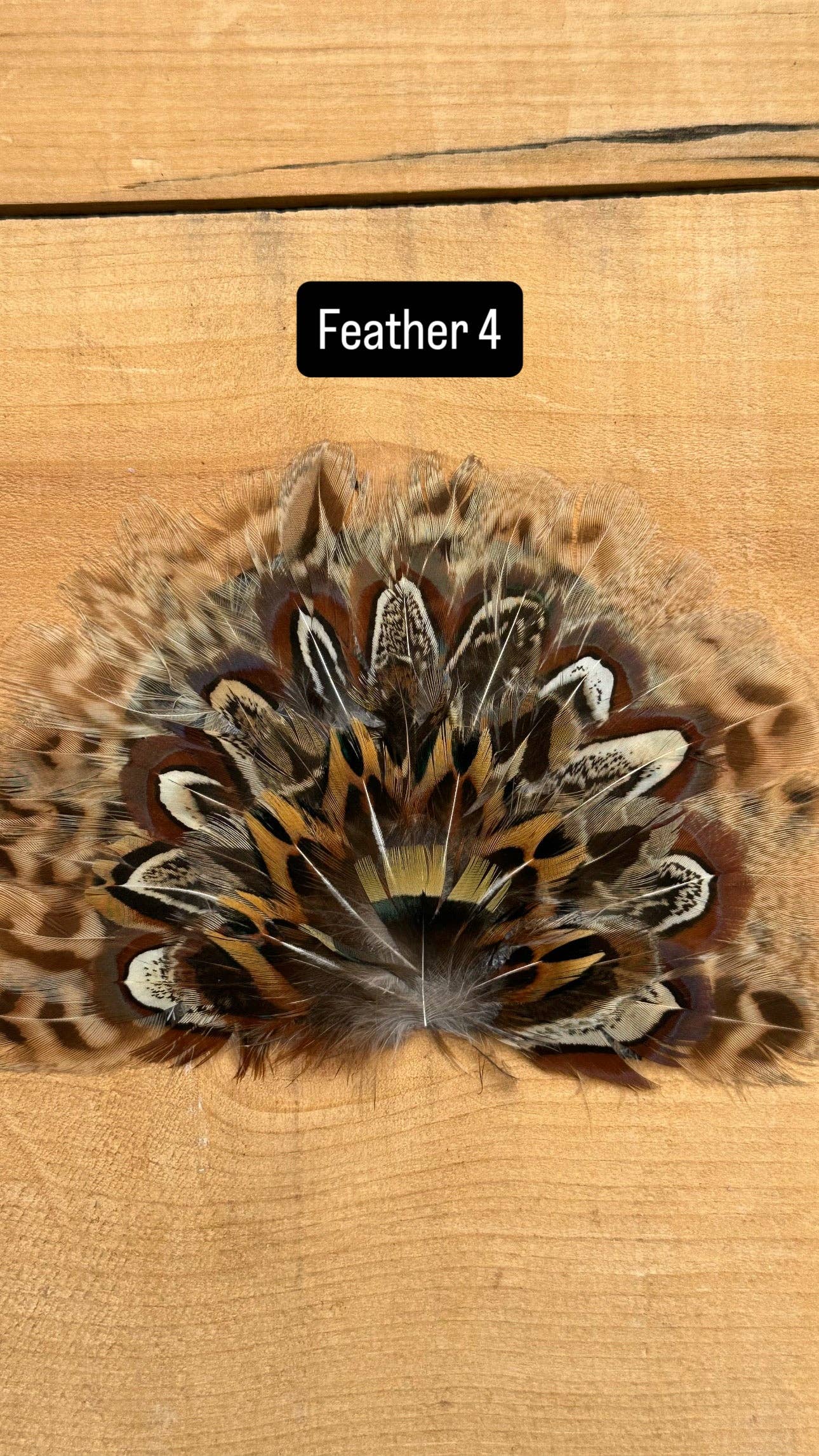 IRON ON FEATHER FANS FOR TRUCKER HATS AND COWBOY HATS