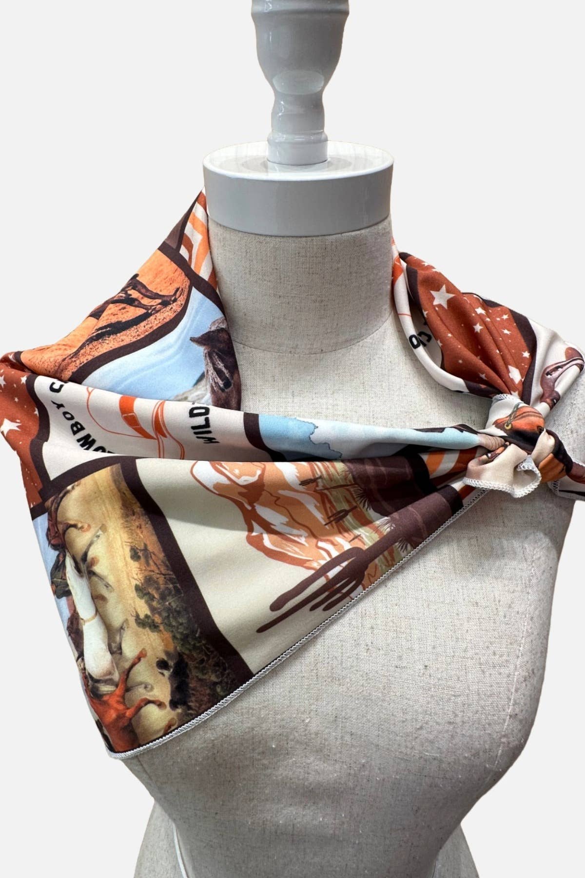 SC-6733-Lidia Western Wild & Free Print Scarf